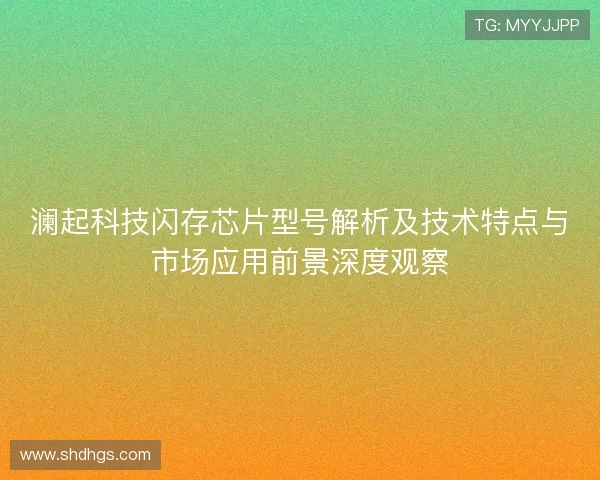 澜起科技闪存芯片型号解析及技术特点与市场应用前景深度观察